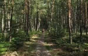 LA PREPA DU TRAIL CSB DANS LES TEMPS.