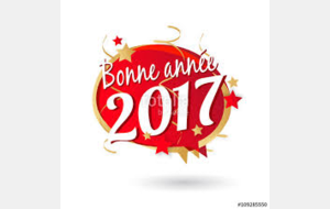 BONNE ANNEE 2017