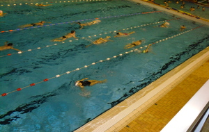 Entrainements Piscine