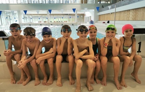 Stage Natation Toussaint 2019