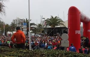 SEMI DE LA GRANDE MOTTE