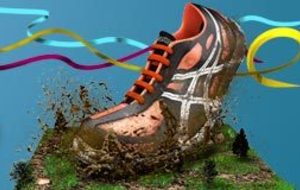 Championnat de France de cross