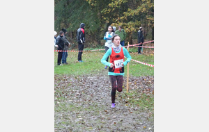 CROSS des Myriades