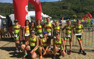 Triathlon de Vienne Condrieu