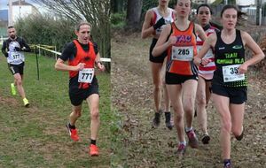 CROSS départemental Loire &amp; Ardèche 