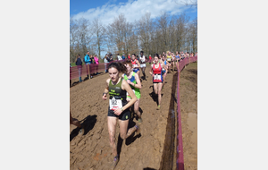 Championnats de France de cross-country 