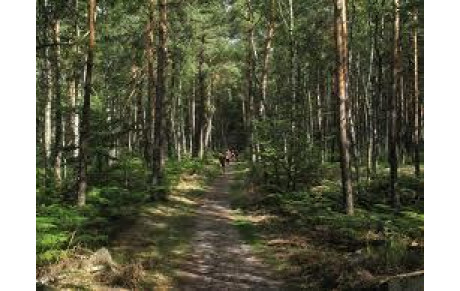 LA PREPA DU TRAIL CSB DANS LES TEMPS.