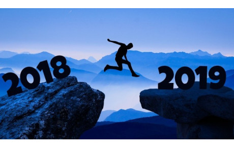 Bonne Année 2019